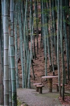 2022年暑假期間中國20個地質公園實行門票減免等優惠政策